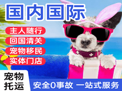 朝阳机场快运国际宠物托运 【国